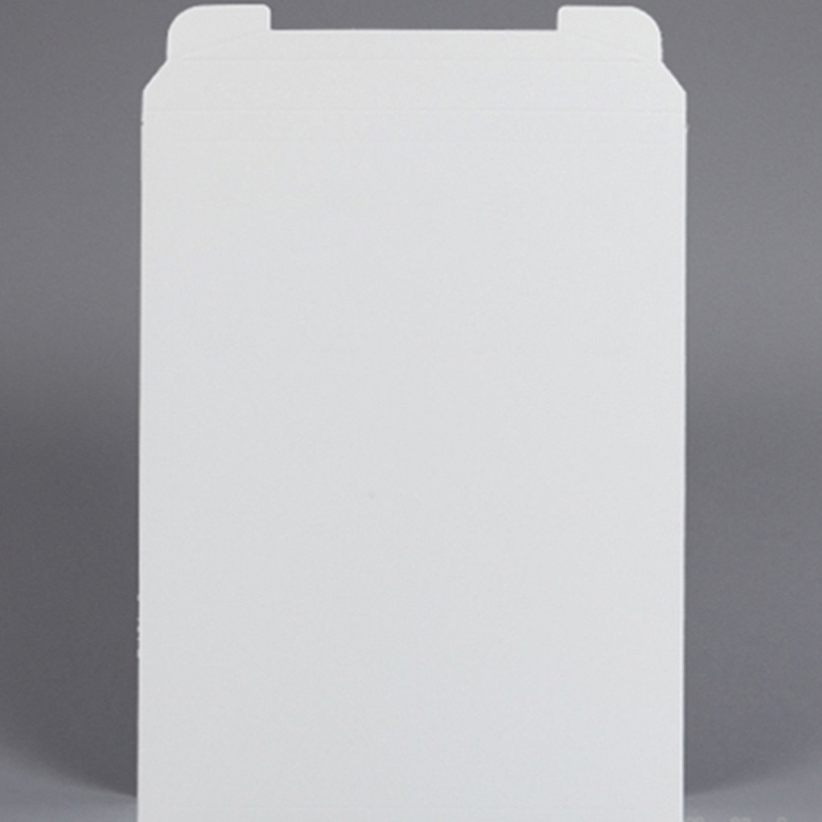 Rigid Mailer for Newspapers & Tablo